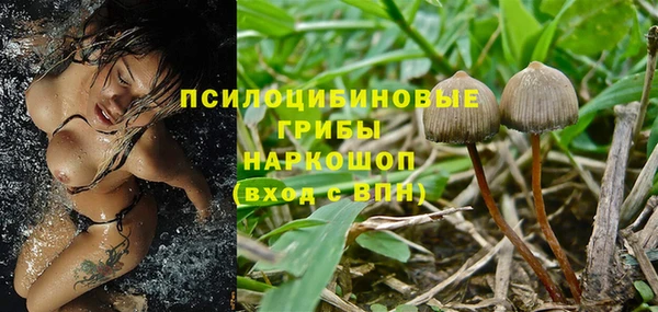 mdpv Алзамай