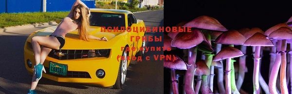 mix Алексин