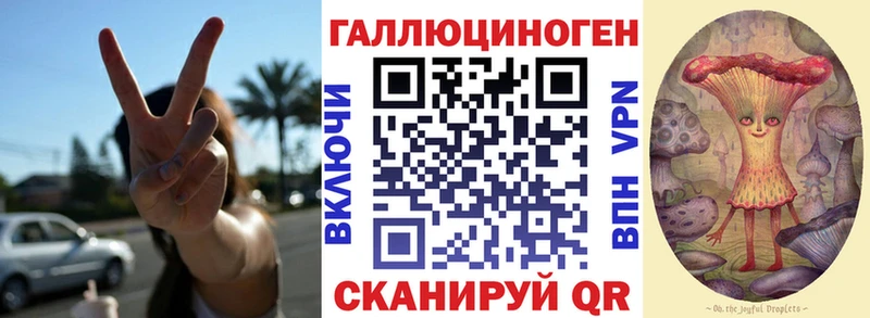 Галлюциногенные грибы Psilocybe Бавлы